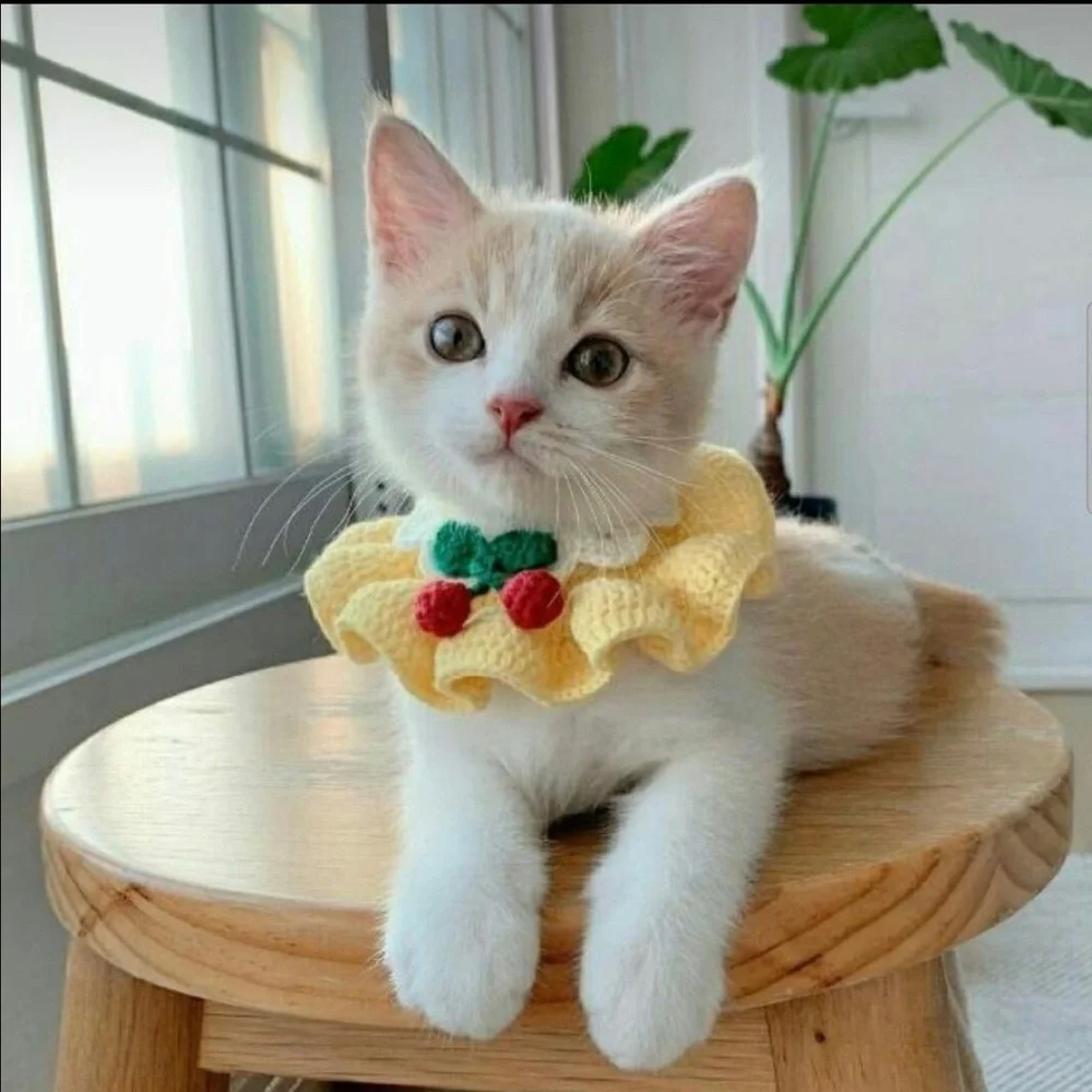 Crocheted collar for cat ir dog
